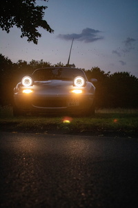 IMG 7827